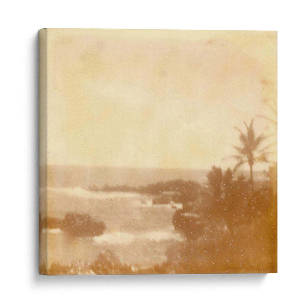 Halia Aloha Viii - Jason Johnson | Cuadro decorativo de Canvas Lab