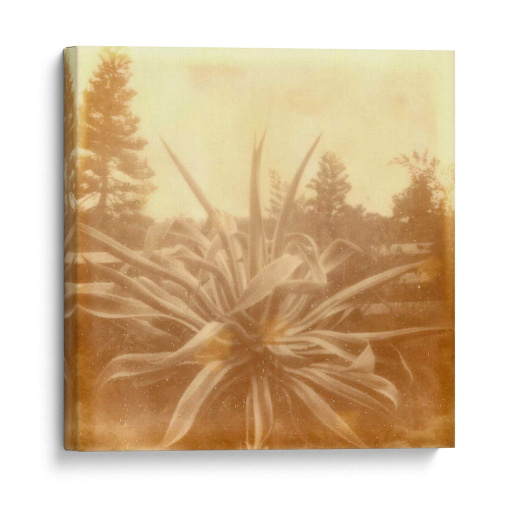 Halia Aloha Ix - Jason Johnson | Cuadro decorativo de Canvas Lab