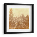 Halia Aloha Ix - Jason Johnson | Cuadro decorativo de Canvas Lab