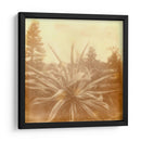 Halia Aloha Ix - Jason Johnson | Cuadro decorativo de Canvas Lab