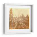 Halia Aloha Ix - Jason Johnson | Cuadro decorativo de Canvas Lab