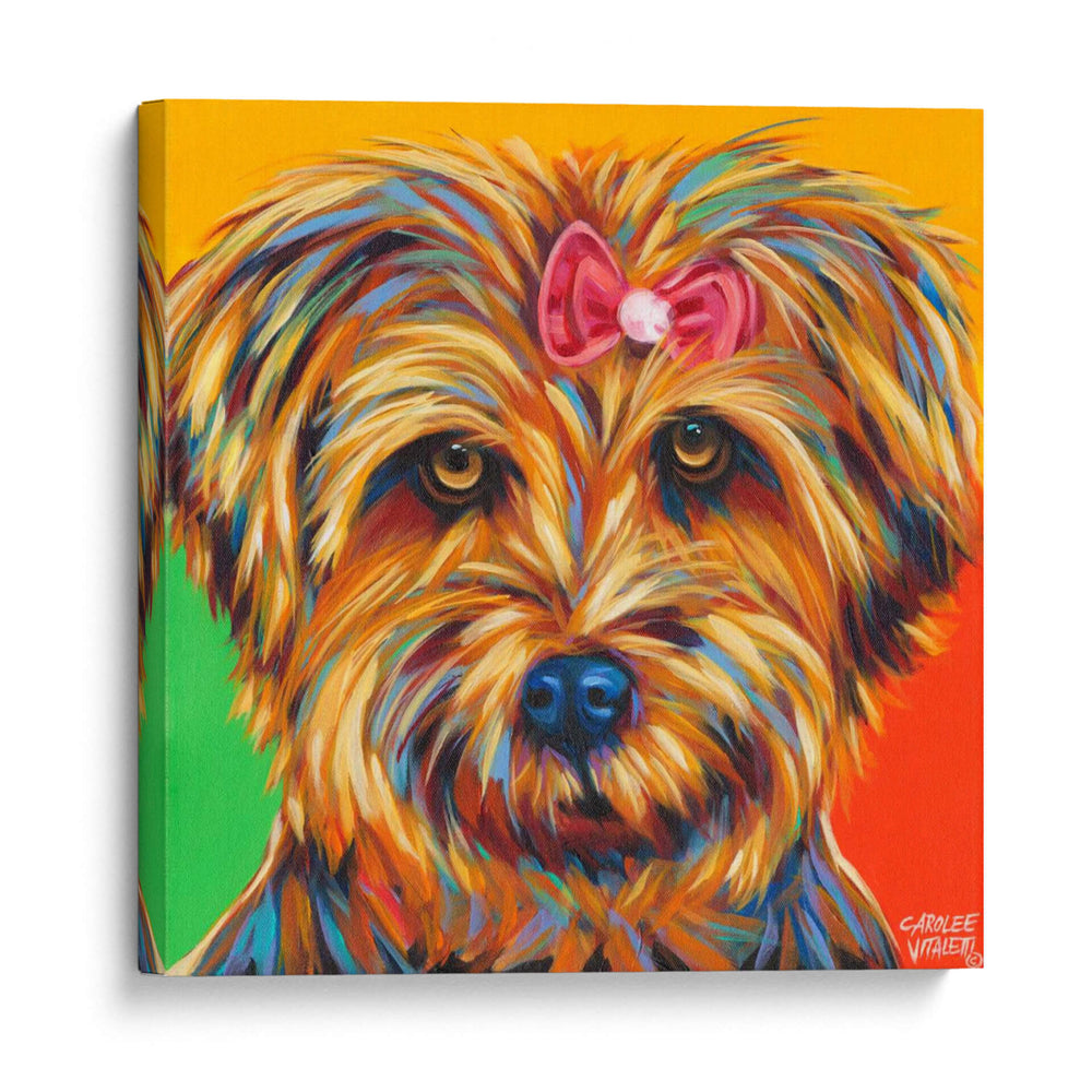 Dulce Yorkie I - Carolee Vitaletti | Cuadro decorativo de Canvas Lab