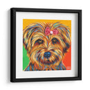 Dulce Yorkie I - Carolee Vitaletti | Cuadro decorativo de Canvas Lab