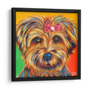Dulce Yorkie I - Carolee Vitaletti | Cuadro decorativo de Canvas Lab