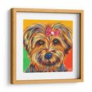 Dulce Yorkie I - Carolee Vitaletti | Cuadro decorativo de Canvas Lab