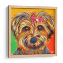 Dulce Yorkie I - Carolee Vitaletti | Cuadro decorativo de Canvas Lab