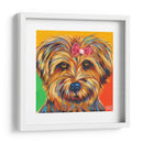 Dulce Yorkie I - Carolee Vitaletti | Cuadro decorativo de Canvas Lab