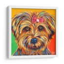 Dulce Yorkie I - Carolee Vitaletti | Cuadro decorativo de Canvas Lab