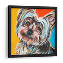 Sweet Yorkie Ii - Carolee Vitaletti | Cuadro decorativo de Canvas Lab