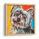 Sweet Yorkie Ii - Carolee Vitaletti | Cuadro decorativo de Canvas Lab