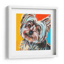 Sweet Yorkie Ii - Carolee Vitaletti | Cuadro decorativo de Canvas Lab