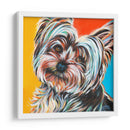Sweet Yorkie Ii - Carolee Vitaletti | Cuadro decorativo de Canvas Lab