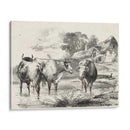 Encantos Rurales I | Cuadro decorativo de Canvas Lab