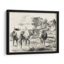 Encantos Rurales I | Cuadro decorativo de Canvas Lab