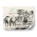 Encantos Rurales I | Cuadro decorativo de Canvas Lab