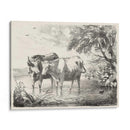 Encantos Rurales Ii | Cuadro decorativo de Canvas Lab