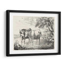 Encantos Rurales Ii | Cuadro decorativo de Canvas Lab