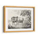 Encantos Rurales Ii | Cuadro decorativo de Canvas Lab