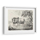 Encantos Rurales Ii | Cuadro decorativo de Canvas Lab