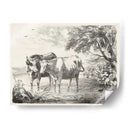 Encantos Rurales Ii | Cuadro decorativo de Canvas Lab