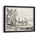 Encantos Rurales Iii | Cuadro decorativo de Canvas Lab