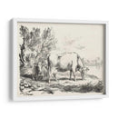 Encantos Rurales Iii | Cuadro decorativo de Canvas Lab