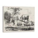 Encantos Rurales Iv | Cuadro decorativo de Canvas Lab