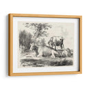 Encantos Rurales Iv | Cuadro decorativo de Canvas Lab