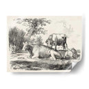 Encantos Rurales Iv | Cuadro decorativo de Canvas Lab