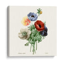 Rubor Rubor - Pierre Redoute | Cuadro decorativo de Canvas Lab