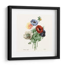 Rubor Rubor - Pierre Redoute | Cuadro decorativo de Canvas Lab