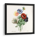 Rubor Rubor - Pierre Redoute | Cuadro decorativo de Canvas Lab