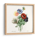 Rubor Rubor - Pierre Redoute | Cuadro decorativo de Canvas Lab