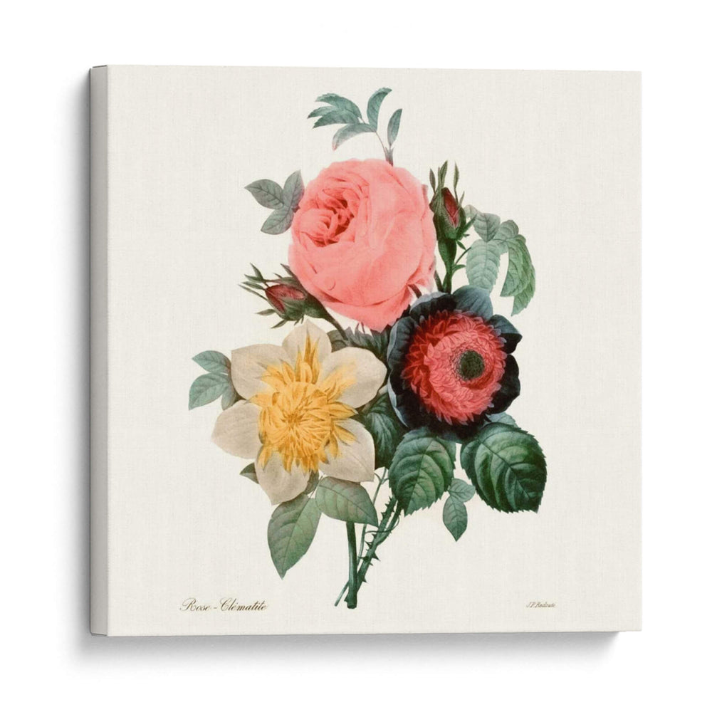Ruborto Bouquet Ii - Pierre Redoute | Cuadro decorativo de Canvas Lab