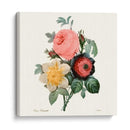 Ruborto Bouquet Ii - Pierre Redoute | Cuadro decorativo de Canvas Lab