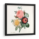 Ruborto Bouquet Ii - Pierre Redoute | Cuadro decorativo de Canvas Lab