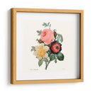 Ruborto Bouquet Ii - Pierre Redoute | Cuadro decorativo de Canvas Lab