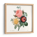 Ruborto Bouquet Ii - Pierre Redoute | Cuadro decorativo de Canvas Lab