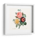 Ruborto Bouquet Ii - Pierre Redoute | Cuadro decorativo de Canvas Lab