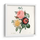 Ruborto Bouquet Ii - Pierre Redoute | Cuadro decorativo de Canvas Lab