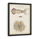 Curiosidades Oceánicas I - DeKay | Cuadro decorativo de Canvas Lab