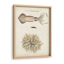 Curiosidades Oceánicas I - DeKay | Cuadro decorativo de Canvas Lab