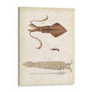 Curiosidades Oceánicas Ii - DeKay | Cuadro decorativo de Canvas Lab