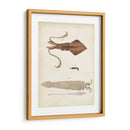 Curiosidades Oceánicas Ii - DeKay | Cuadro decorativo de Canvas Lab