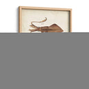 Curiosidades Oceánicas Ii - DeKay | Cuadro decorativo de Canvas Lab