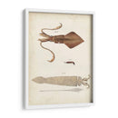 Curiosidades Oceánicas Ii - DeKay | Cuadro decorativo de Canvas Lab