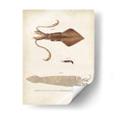 Curiosidades Oceánicas Ii - DeKay | Cuadro decorativo de Canvas Lab