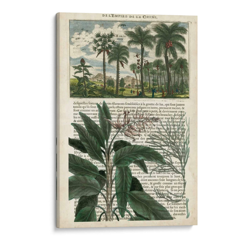 Diario De Los Trópicos I - Vision Studio | Cuadro decorativo de Canvas Lab