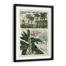 Diario De Los Trópicos I - Vision Studio | Cuadro decorativo de Canvas Lab