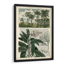 Diario De Los Trópicos I - Vision Studio | Cuadro decorativo de Canvas Lab